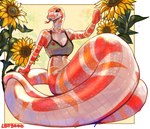 anthro apode bra breasts cleavage clothed clothing female flower forked_tongue glistening glistening_body legless non-mammal_breasts orange_body orange_scales plant scales serpentine solo sunflower tongue tongue_out underwear ventral_scales white_body white_scales lbt9000 colubrid corn_snake draconcopode lampropeltini naga rat_snake reptile scalie snake hi_res