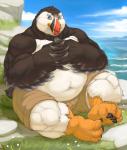 anthro beak belly biped black_body black_feathers clothed clothing detailed_background feathers feet male musclegut muscular muscular_anthro muscular_male navel outside overweight overweight_anthro overweight_male sitting smile solo talons thick_thighs toes topless water white_body white_feathers wings cinna-tree alcid avian bird lari puffin hi_res