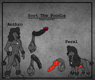 animal_genitalia animal_penis anthro balls big_glans canine_genitalia canine_penis disembodied_penis erection feral foreskin frenulum genitals glans humanoid_genitalia humanoid_penis jewelry knot knotted_penis long_foreskin male necklace necklace_only nude penis retracted_foreskin saggy_balls scrotum_flap solo unretracted_foreskin vein veiny_balls veiny_foreskin veiny_penis perpetuate303 soot_(perpetuate303) canid canine canis domestic_dog mammal poodle model_sheet