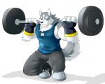 anthro biceps biped boots bottomwear chest_tuft clothing dog_tags dumbbell footwear fur gloves handwear male muscular muscular_anthro muscular_male necktie pants shirt shoes solo tank_top topwear tuft weights greydaboy canid canine canis domestic_dog husky mammal nordic_sled_dog spitz 2018 5:4 digital_media_(artwork) hi_res