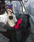 aircraft airplane animal_genitalia animal_penis anthro ball_tuft balls big_balls canine_genitalia canine_penis clothing cockpit fur genitals grey_body grey_fur hair inside_airplane male masturbation penis pilot purple_hair solo tongue tuft uniform vehicle nicolasthewolf canid canine canis mammal wolf