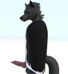 animal_genitalia animal_penis anthro balls black_body black_fur canine_genitalia canine_penis cape clothing erection fur genitals looking_at_viewer male penis simple_background solo standing delbi3d iveraks_(iveraks) canid canine canis mammal wolf 3d_(artwork) digital_media_(artwork) hi_res