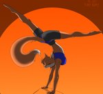 anthro big_tail biped blue_bra blue_clothing blue_sports_bra blue_underwear bottomwear bra butt clothing exercise eyes_closed female grey_bottomwear grey_clothing grey_shorts handstand nipple_outline orange_body pose shorts solo sports_bra spread_legs spreading sun sunset tail training underwear sanssouci brutal_paws_of_fury foxy_roxy canid canine fox mammal 2020 digital_drawing_(artwork) digital_media_(artwork) full-length_portrait portrait shaded simple_shading