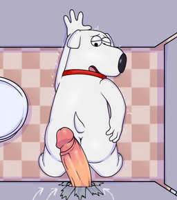 4_fingers anthro bathroom black_nose butt checkered checkered_floor circumcised collar collar_only directional_arrow duo erection fingers fur genitals glory_hole half-closed_eyes imminent_sex looking_back male male/male narrowed_eyes nude open_mouth penis public_restroom red_collar restroom_stall small_tail tail white_body white_fur joalmidon family_guy brian_griffin canid canine canis domestic_dog human mammal 2026 digital_drawing_(artwork) digital_media_(artwork) english_description hi_res