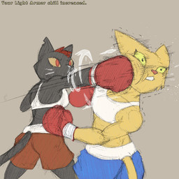 anthro boxing boxing_gloves boxing_shorts bra clothing duo face_punch female handwear motion_lines mouthguard sport sports_bra text underwear chamma_retsuden microsoft night_in_the_woods prequel_adventure the_elder_scrolls katia_managan mae_borowski domestic_cat felid feline felis khajiit mammal 1:1 english_text hi_res
