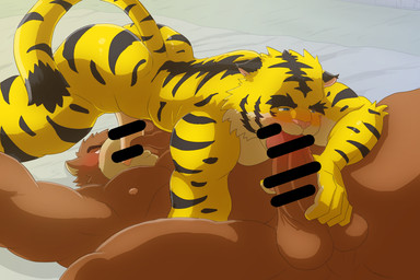 69_position anthro anthro_on_anthro anthro_penetrated anthro_penetrating anthro_penetrating_anthro balls black_stripes blush brown_body brown_fur butt duo erection eyebrows fellatio fur genitals holding_another's_penis holding_penis legs_up lying male male/male male_penetrated male_penetrating male_penetrating_male markings musclegut muscular muscular_male nipples nude on_back oral oral_penetration penetration penile penile_penetration penis penis_in_mouth pink_nose sex striped_markings striped_tail stripes tail tail_markings yellow_body yellow_fur wo morenatsu juuichi_mikazuki torahiko_ooshima bear felid mammal pantherine tiger 2025 3:2 censored