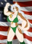 abs american_flag anthro big_breasts bikini biped breasts cleavage clothed clothing female flag green_eyes hair huge_breasts long_hair looking_at_viewer midriff muscular muscular_anthro muscular_female smile solo standing swimwear teeth two-piece_swimsuit united_states_of_america white_hair toughset elnora_magner toughset_(character) akita armadillo canid canine canis domestic_dog mammal spitz xenarthran digital_media_(artwork) hi_res