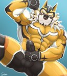 5_fingers abs anthro balls biceps biped black_nose blue_background bulge clothed clothing detailed_bulge eyebrows fingers fully_clothed fur genitals humanoid_hands male mask masturbation_through_clothing multicolored_body multicolored_fur muscular muscular_anthro muscular_male muscular_thighs pecs simple_background solo spread_legs spreading superhero superhero_costume triceps two_tone_body two_tone_fur white_body white_eyebrows white_fur yellow_body yellow_fur serenaught lifewonders live_a_hero ryekie_(live_a_hero) felid mammal pantherine tiger colored hi_res signature