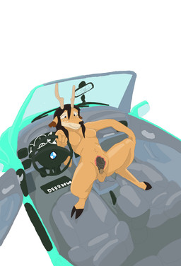 anal anal_penetration anthro balls chastity_cage chastity_device genitals gynomorph internal internal_anal intersex penetration solo vehicle solshimii deer mammal absurd_res hi_res