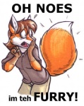 2003 anthro breasts brown_hair canid canine dingbat english_text female fluffy fluffy_tail fox fur gloves_(marking) hair image_macro low_res mammal markings meme oh_noes orange_body orange_fur reaction_image red_fox shocked solo surprise tail text third-party_edit true_fox