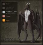 anthro border brown_eyes horn male smile solo tail text transparent_border jewel-thief european_mythology mythology dragon mythological_creature mythological_scalie scalie western_dragon 2016 alpha_channel digital_media_(artwork) english_text hi_res model_sheet