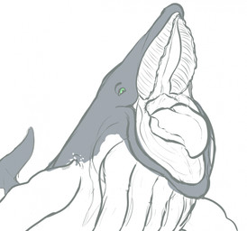 baleen feral feral_pred green_eyes grey_tail male male_pred open_mouth simple_background solo tail tongue vore white_background flippin-rad ardi_(darthardios) aquatic baleen_whale cetacean humpback_whale mammal whale 2025 hi_res sketch