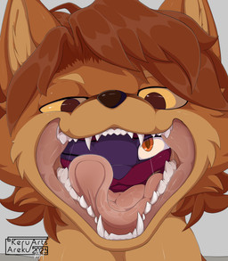 anthro brown_hair duo fur hair male male_pred male_prey mouth_shot open_mouth oral_vore orange_body orange_fur ren_(sepharaeus) swallowing teeth teeth_showing tongue tongue_out vore yellow_eyes zinger_(sepharaeus) nintendo pokemon keruareku-san canid canine fox generation_4_pokemon lucario mammal pokemon_(species) hi_res