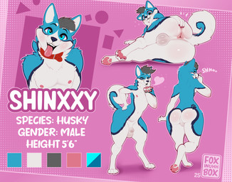 animal_genitalia animal_penis anthro anus balls big_butt butt butt_grab butt_pose canine_genitalia canine_penis genitals hand_on_butt male multiple_poses nude penis pose presenting sheath solo spread_anus spread_butt spreading standing text foxinuhhbox canid canine canis domestic_dog husky mammal nordic_sled_dog spitz absurd_res hi_res model_sheet pinup