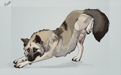 animal_genitalia animal_penis ass_up brown_body brown_fur canine_genitalia canine_penis cheek_tuft chest_tuft claws digitigrade erection facial_tuft feral finger_claws fluffy fluffy_tail fur genitals grey_background inner_ear_fluff knot knot_in_sheath knotted_penis looking_at_viewer male penis presenting presenting_penis quadruped raised_leg shadow sheath simple_background snout solo tail tan_body tan_fur toe_claws tuft yellow_eyes hybernation canid canine canis mammal wolf shaded signature