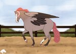 female feral horn moving piaffe solo trotting walking wings lumadelun mythology rosea_rosa equid equine horse mammal mythological_creature mythological_equine pegasus pony unicorn animated short_playtime