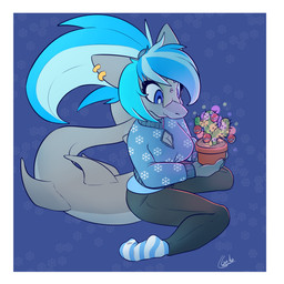 anthro blue_hair border cactus clothed clothing female footwear hair happy holidays lights plant smile socks solo sweater topwear white_border galo christmas aquatic fish shark 1:1 2020 digital_media_(artwork) hi_res