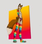 anthro armwear blush clothed clothing grin leg_warmers legwear lgbt_pride looking_at_viewer low-angle_view male plantigrade pride_color_armwear pride_color_clothing pride_color_legwear pride_colors rainbow_pride_colors seven-stripe_rainbow_pride_colors smile solo underwear underwear_only banoncat canid canine fox mammal 2020 hi_res