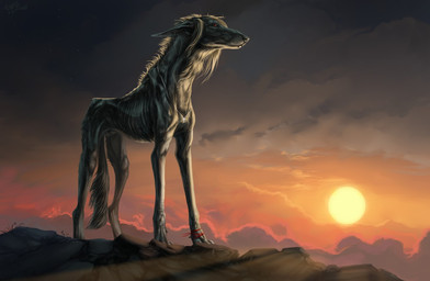 ambiguous_gender day detailed_background feral outside paws sky solo sun wolfroad canid canine canis domestic_dog mammal 2020 digital_media_(artwork)