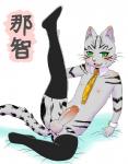 anthro balls blush clothed clothing erection genitals green_eyes humanoid_genitalia humanoid_penis legwear male mostly_nude necktie open_mouth penis simple_background smile solo spread_legs spreading stockings text white_background nako nyan_communication nachi_(nyan_communication) domestic_cat felid feline felis mammal translated