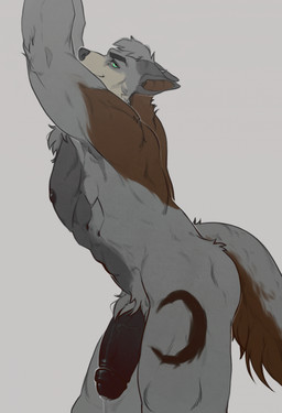 abs anthro areola balls big_penis black_areola black_eyebrows black_nipples black_penis bodily_fluids brown_body brown_fur butt chest_tuft eyebrows foreskin fur genital_fluids genitals green_eyes grey_background grey_body grey_fur grey_hair hair half-erect humanoid_genitalia humanoid_penis looking_at_viewer male muscular nipples nude pecs penis pose precum pubes short_hair side_view simple_background smile snout solo tail thick_eyebrows tuft vein veiny_penis maison_6 canid canine canis mammal wolf colored digital_drawing_(artwork) digital_media_(artwork) hi_res pinup