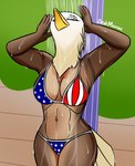 5_fingers abs american_flag american_flag_bikini anthro athletic athletic_anthro athletic_female beak big_breasts bikini biped black_eyebrows bottomwear bra breasts brown_body brown_feathers cleavage clothed clothing curvy_figure dripping_wet eyebrows eyelashes eyes_closed feathers female fingers flag flag_bikini flag_clothing flag_print flag_swimwear front_view fully_clothed hourglass_figure humanoid_hands midriff multicolored_body multicolored_feathers navel navel_piercing non-mammal_breasts panties piercing pose print_bikini print_clothing print_swimwear rinsing shower solo swimwear tail tail_feathers thick_thighs topwear two-piece_swimsuit two_tone_body two_tone_feathers underwear united_states_of_america water wet white_body white_feathers white_tail wide_hips yellow_beak deskmaniac accipitrid accipitriform avian bald_eagle bird eagle sea_eagle 2021 digital_media_(artwork) hi_res pinup shaded signature