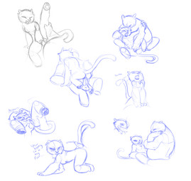 all_fours anthro bodily_fluids cowgirl_position cum cumshot duo ejaculation erection eyes_closed fellatio female fingering from_behind_position from_front_position genital_fluids genitals hot_dogging leg_glider_position legs_up looking_back lying male male/female masturbation nude on_back on_bottom on_top one_leg_up open_mouth oral orgasm penetration penile penis raised_leg sex simple_background solo_focus straddling tail vaginal vaginal_fingering vaginal_masturbation vaginal_penetration vulva white_background unknown_artist dreamworks kung_fu_panda master_po_ping master_tigress bear felid giant_panda mammal pantherine tiger blue_and_white greyscale hi_res monochrome multiple_images sketch sketch_page