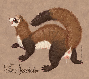 anatomically_correct anatomically_correct_genitalia anatomically_correct_vulva animal_genitalia animal_vulva anus black_claws brown_body brown_fur butt claws dripping_vulva female feral fur genitals licking licking_lips licking_own_lips looking_at_viewer nipples paws presenting presenting_hindquarters raised_tail solo tail tan_body tan_fur tongue tongue_out vulva cloudweaver_(artist) spacks domestic_ferret mammal mustelid musteline true_musteline weasel hi_res nonbinary_(lore)