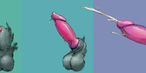 animal_genitalia animal_penis balls base_one_layout basic_sequence becoming_erect bodily_fluids canine_genitalia canine_penis cum cumshot disembodied_penis ejaculation erection genital_fluids genital_shot genitals knot linear_sequence male nude one_row_layout orgasm penis penis_shot penis_tip sheath solo three_frame_image three_frame_sequence unsheathing winddragon canid canine mammal sequence