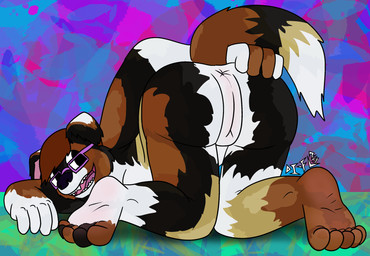 abstract_background adolescent all_fours anthro anus butt eyewear feet female genitals glasses nerd overweight presenting presenting_vulva spread_butt spreading tail vulva young di-fl canid canine canis collie domestic_dog herding_dog mammal pastoral_dog sheepdog hi_res