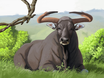 black_eyes black_nose feral fur grass grey_body grey_fur horn looking_at_viewer lying male nature on_front outside plant quadruped short_fur solo tree agustindiazart bovid bovine kouprey mammal 4:3 hi_res