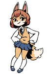 anthro blue_bottomwear blue_clothing blue_footwear blue_shoes blue_skirt bottomwear brown_hair clothed clothing female footwear hair hands_on_hips long_socks looking_at_viewer shoes simple_background skirt solo white_background unknown_artist canid canine mammal