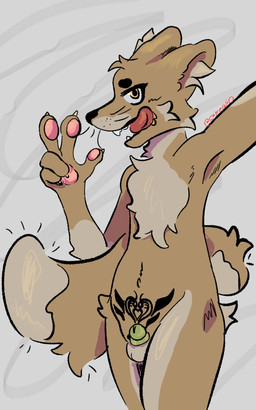 anthro belly blush bottomless chastity_cage chastity_cage_only chastity_device chastity_device_only chest_tuft clothed clothing ears_back femboy fluffy fluffy_chest fluffy_tail genitals half-closed_eyes hip_tuft male narrowed_eyes nude pivoted_ears posing_for_picture selfie solo submissive submissive_male tail tongue tongue_out topless tuft unsupported_chastity_cage wearing_chastity_cage wearing_chastity_device womb_tattoo caffinid canid canine fox mammal big_(disambiguation) hi_res