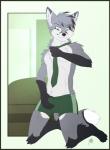 anthro black_nose boxer_briefs bulge clothing fur green_clothing green_eyes green_underwear grey_body grey_fur kneeling male necktie pose simple_background smile smirk solo underwear white_background white_body white_fur gothwolf troxy canid canine fox mammal 2016 hi_res pinup