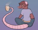 anthro beverage bottomwear clothing coffee food hot_drink long_tail male pants prehensile_tail solo tail ricket dentia mammal murid murine rat rodent digital_media_(artwork) hi_res