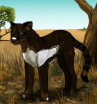 ambiguous_gender black_body black_fur blue_eyes brown_body brown_fur detailed_background digitigrade feral fur grass nature outside plant quadruped sky solo tail tree white_body white_fur wood octobertiger domestic_cat felid feline felis mammal tabby_cat ticked_tabby