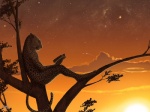 anthro backlighting biped book branch cloud detailed_background fur holding_book holding_object in_tree leopard_spots light male markings outside photorealism plant reading side_view sitting sky solo spots spotted_body spotted_fur star starry_sky sunset tail tree whiskers wood myenia felid leopard mammal pantherine 4:3 lighting