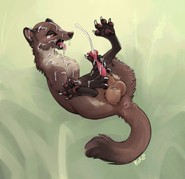 ahegao anatomically_correct anatomically_correct_genitalia anus balls bodily_fluids cum cumshot ejaculation feral genital_fluids genitals looking_pleasured male penis solo queenkoko gulonine mammal marten mustelid musteline pine_marten absurd_res hi_res