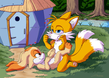 anthro areola big_areola clothing day duo female heart_symbol hearts_around_head looking_pleasured male nipples nude orange_toes outside pawpads sex smile sniffing sniffing_clothes underwear underwear_sniffing young young_female young_male young_on_young zooshi sega sonic_the_hedgehog_(series) cream_the_rabbit miles_prower canid canine fox lagomorph leporid mammal rabbit absurd_res hi_res