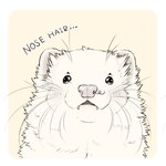 beady_eyes feral looking_at_viewer nose_hair smile solo text ichigodawashi domestic_ferret mammal mustelid musteline true_musteline weasel 1:1 english_text hi_res line_art