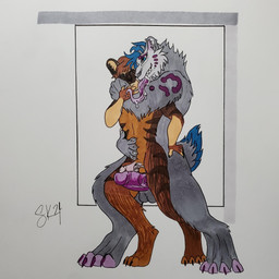 anthro balls between_thighs blue_hair bodily_fluids comparing comparing_penis dominant duo erection fur genitals glans hair knot knotted_penis larger_dom long_tongue lynxion male male/male markings penis piercing purple_body purple_fur purple_markings saliva saliva_on_tongue saliva_string size_difference tongue selenalakitsune amaranth_heres felid hybrid hyena mammal prehistoric_species saber-toothed_tiger 1:1 hi_res