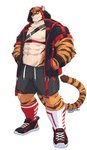 abs anthro bottomwear clothed clothing fur hoodie legwear male muscular muscular_anthro muscular_male nipples open_clothing open_hoodie open_topwear pecs simple_background solo stripes topwear kamyuelo felid mammal pantherine tiger 2021