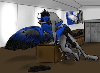 after_sex anthro anthro_on_anthro anthro_penetrated anthro_penetrating anthro_penetrating_anthro bodily_fluids cum cum_in_vagina cum_inside detailed_background duo feathered_wings feathers female female_penetrated from_front_position genital_fluids inside interspecies knotting locker locker_room lying male male/female male_penetrating male_penetrating_female missionary_position on_back penetration sex wings nethil lennox_raides avian canid canine mammal