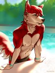 anthro athletic blue_eyes clothed clothing day detailed_background ear_piercing ear_ring eyebrows eyelashes facial_piercing fur hair inner_ear_fluff lip_piercing male outside piercing red_body red_fur red_hair ring_piercing sky small_nipples snakebite_piercing solo speedo swimming_pool swimwear tuft wet poofroom koifishkid canid canine canis domestic_dog husky mammal nordic_sled_dog spitz 2022 digital_media_(artwork) hi_res