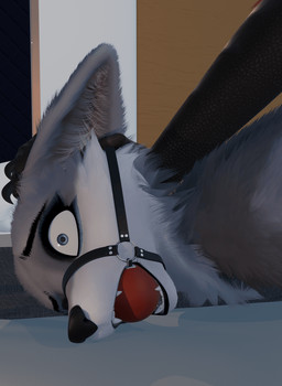 ambiguous/ambiguous ambiguous_gender anthro ball_gag bound constricted_pupils duo forced gag hand_on_head lying offscreen_character offscreen_dominant offscreen_penetration on_front pinned pupils rough_sex sex small_pupils solo_focus pilvi_animations maxnoward_(modeler) ruaidri_(modeler) avian bird canid canine fox mammal owl 3d_(artwork) 3d_animation animated digital_media_(artwork)