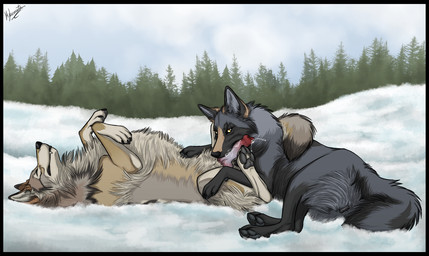 4_toes animal_genitalia animal_penis animal_vulva black_body black_fur brown_body brown_fur canine_genitalia canine_penis canine_vulva claws cloud day digitigrade duo ejaculation erection eyes_closed feet fellatio female female_feral feral feral_on_feral forest forest_background fur genitals grey_body grey_fur intraspecies knot knotted_penis lying lying_on_snow male male/female male_feral nature nature_background on_back on_side oral pawpads paws penile penis penis_in_mouth plant sex sky skyscape snow toes tree vulva yellow_eyes hybernation canid canine canis mammal wolf 2025 digital_drawing_(artwork) digital_media_(artwork) signature