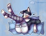 anthro butt clothing femboy footwear genitals heart_symbol legwear male pillow socks solo tongue tongue_out unbread_yimori australian_shepherd canid canine canis domestic_dog herding_dog mammal pastoral_dog sheepdog