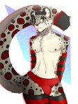 anthro arm_warmers armwear bulge clothing femboy leg_warmers legwear male shy solo underwear tyrartist umbrose felid mammal pantherine snow_leopard 3:4 absurd_res hi_res