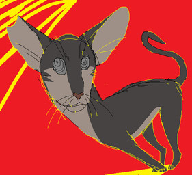 ambiguous_gender brown_nose digitigrade feral grey_body grey_eyes notched_ear paws perspective raised_tail red_background simple_background solo spiral_pupils tail whiskers sebdoggo serenity_(comic) jasper_(serenity) domestic_cat felid feline felis mammal oriental_shorthair 2018 aliasing digital_drawing_(artwork) digital_media_(artwork) flat_colors microsoft_paint_(artwork)