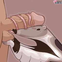 ambiguous_gender balls bestiality blush blush_stickers bodily_fluids brown_body brown_fur duo feral fur genitals heart_eyes heart_symbol holding_balls human_on_feral humanoid_genitalia humanoid_penis interspecies licking long_tongue male oral penis saliva sex simple_background small_ears tongue tongue_out tongue_wrap tonguejob white_body white_fur pankatares anteater human mammal pilosan xenarthran 1:1 digital_media_(artwork) low_res pixel_(artwork) signature